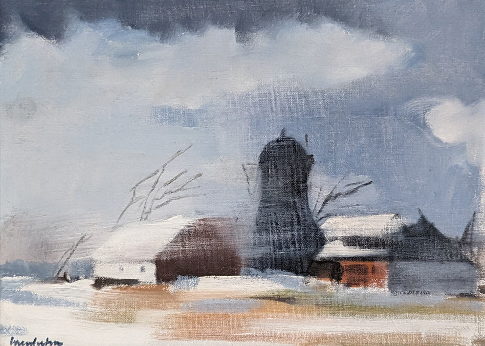 Snowstorm