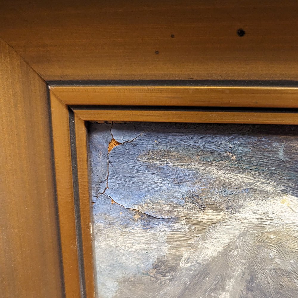 Dog in a Snowy Harbour