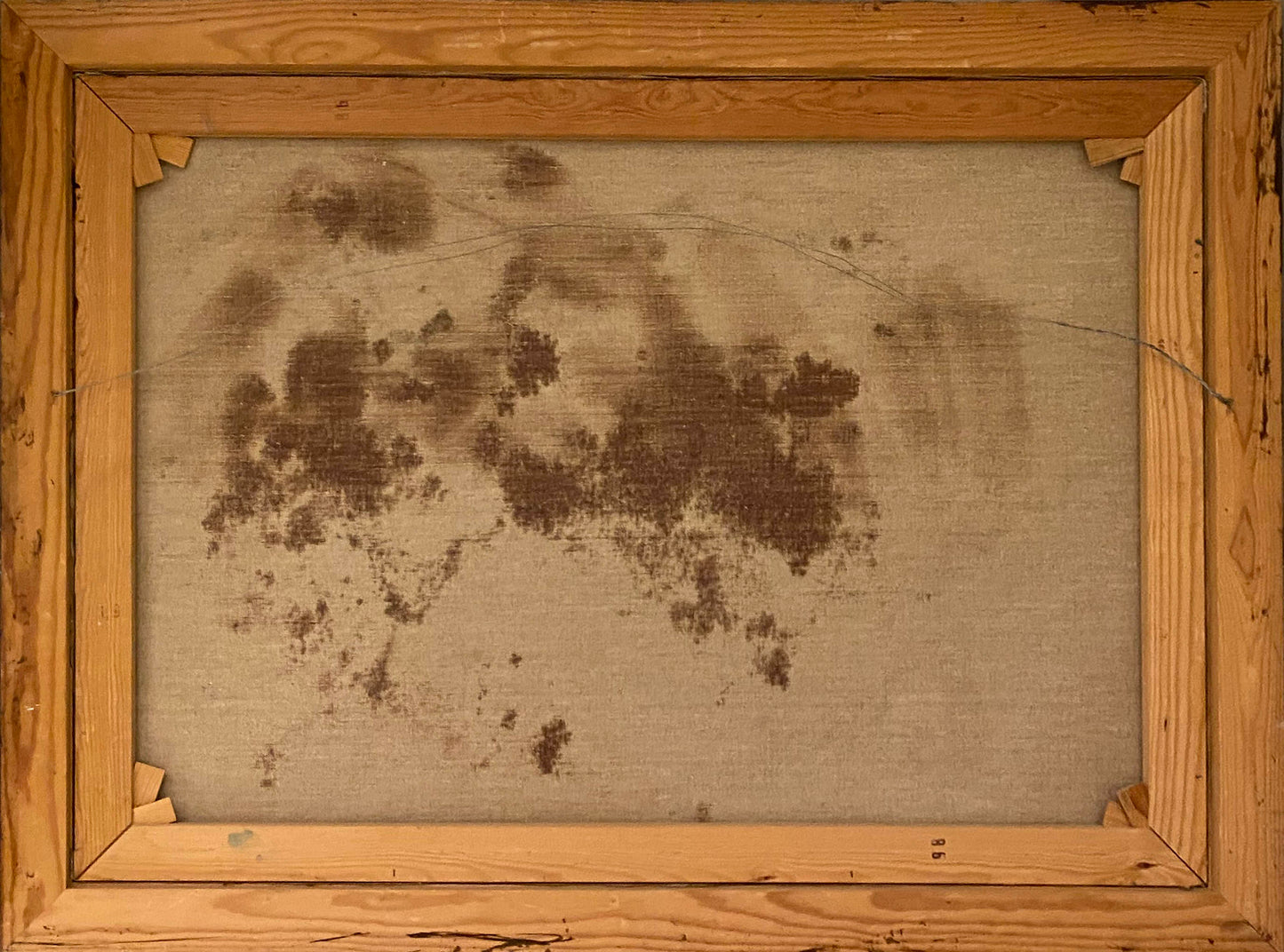 Pineapple Still Life