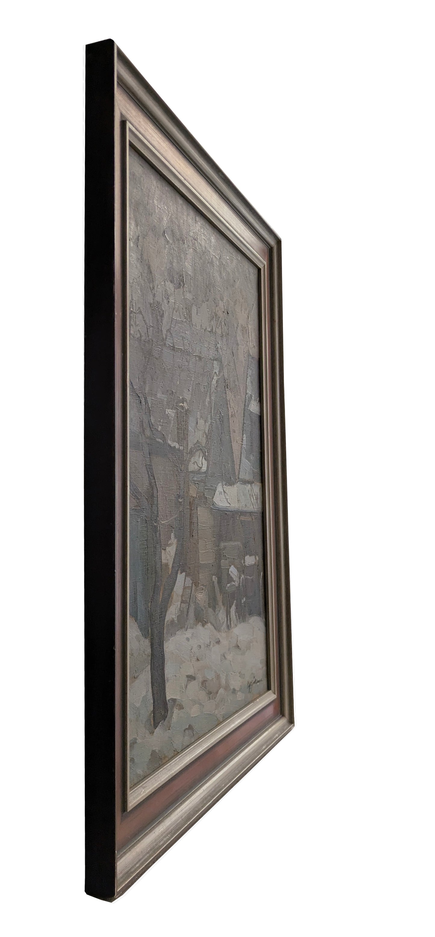 Back Garden Under Snow