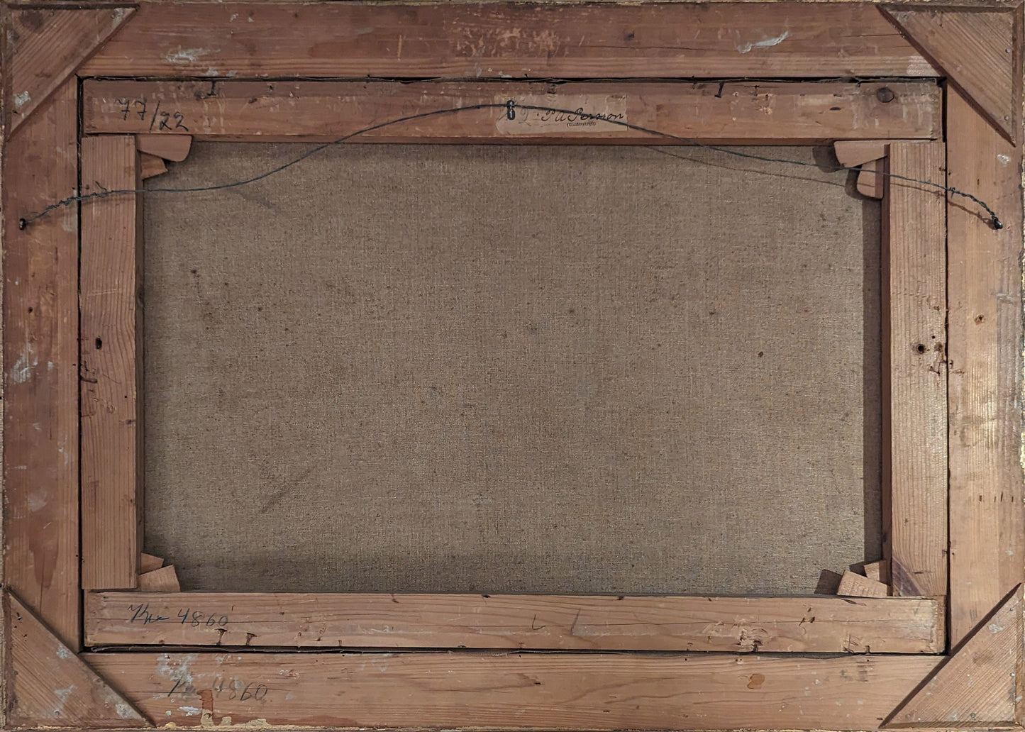 Golden Hour in the Woods