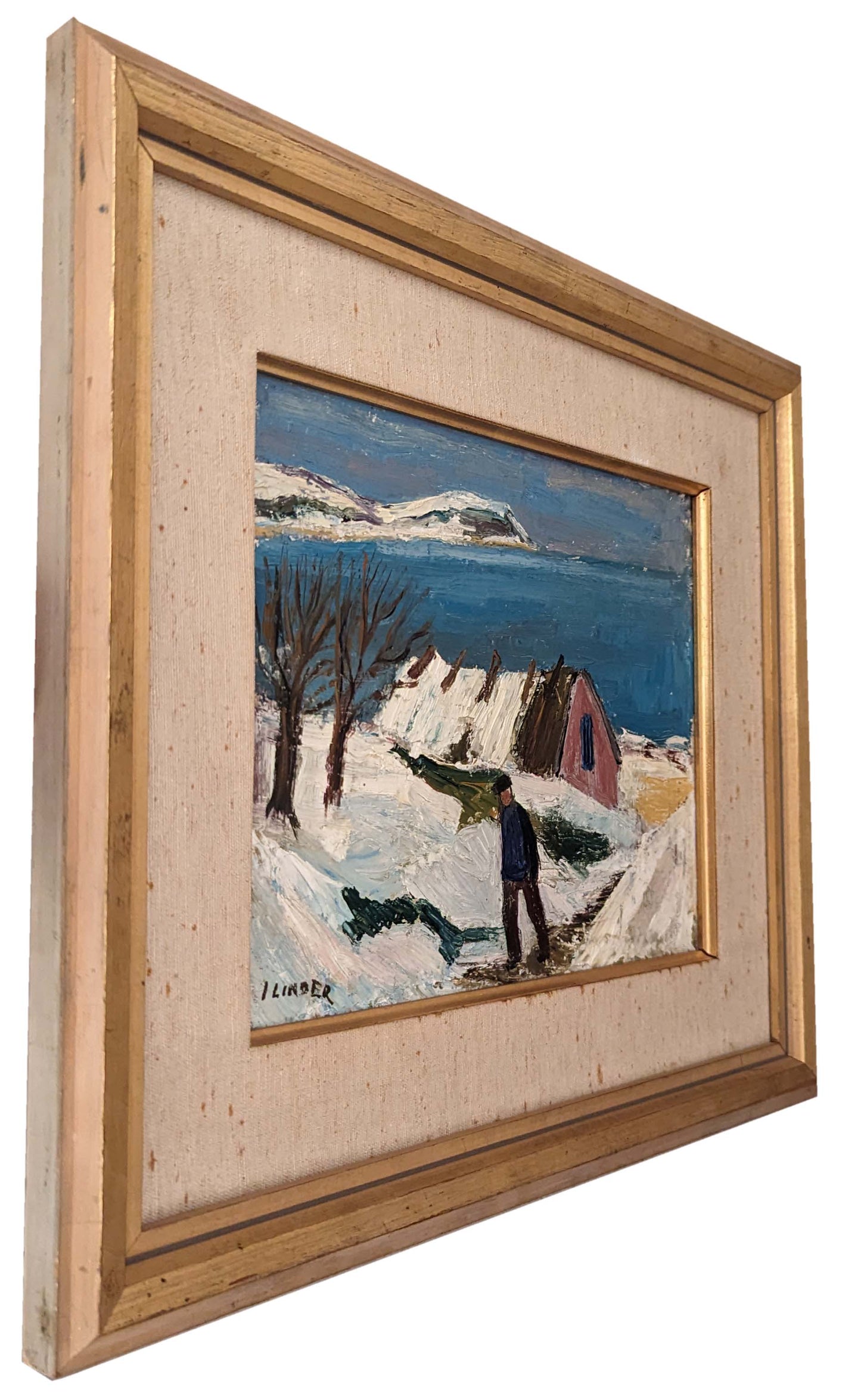 Nordic Coast under Snow