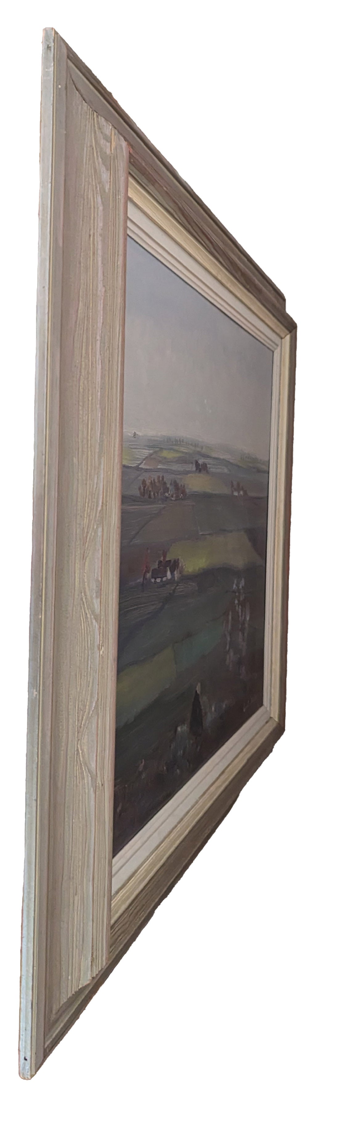 Blossom in a landscape