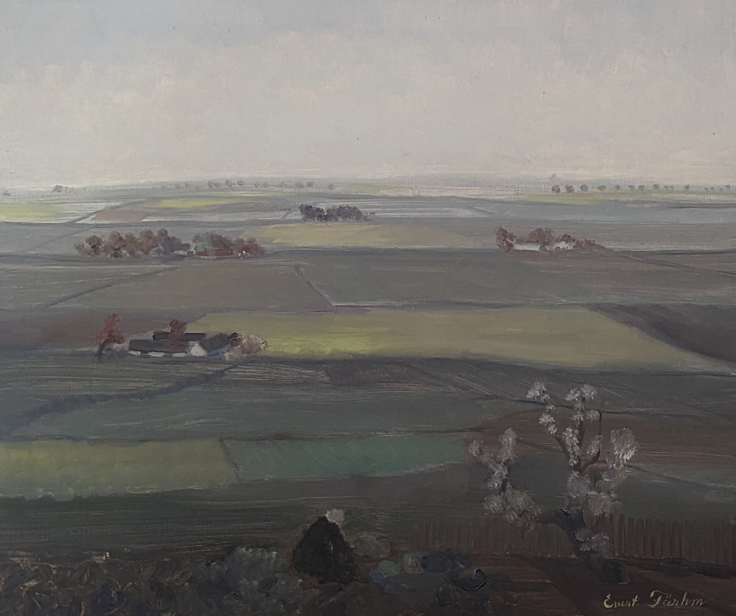 Blossom in a landscape