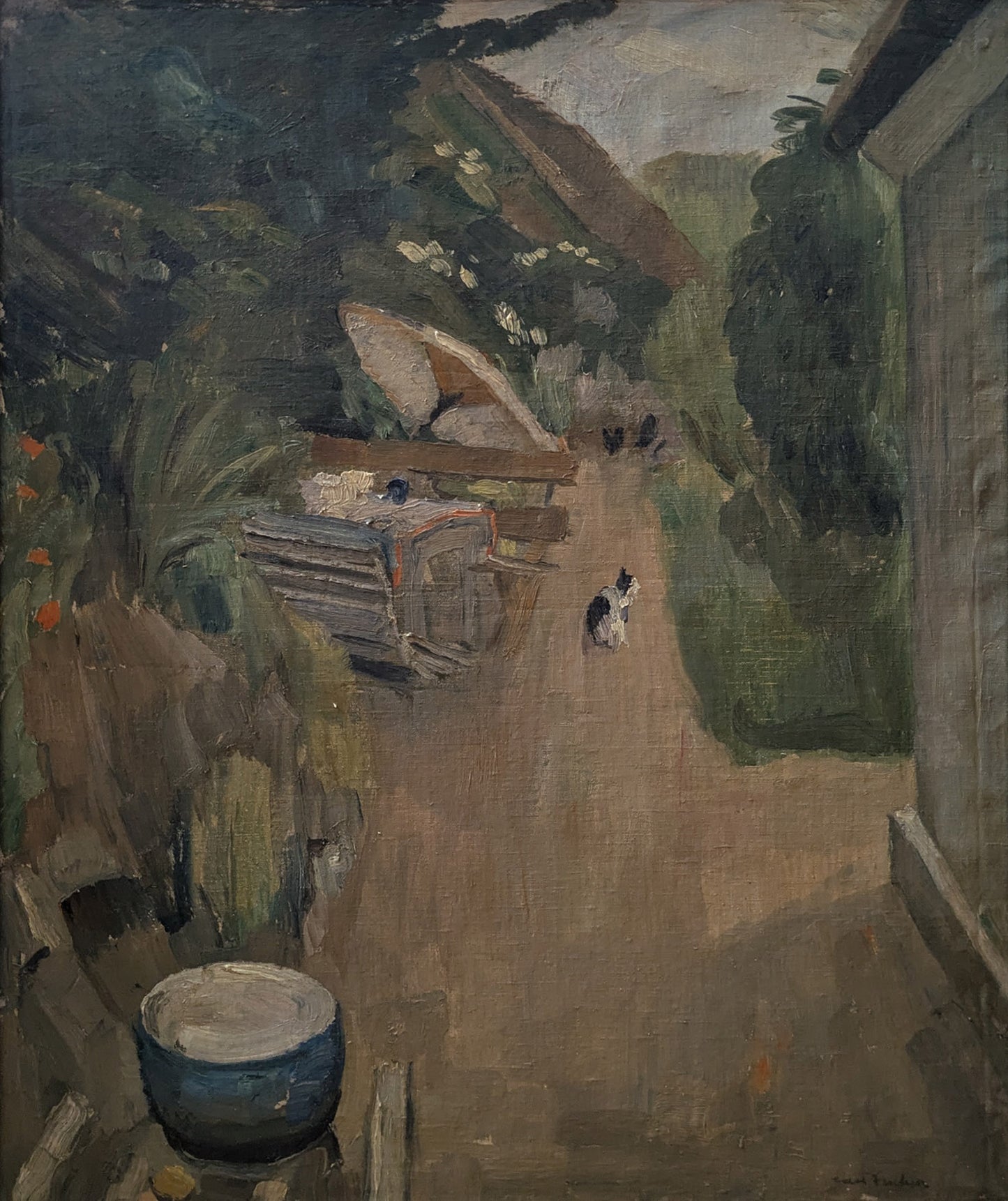 Cat in the lane