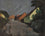Village Road at Dusk
