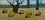 Windfall Conkers