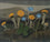 Wild Flowers