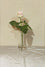 Rose in a Vase