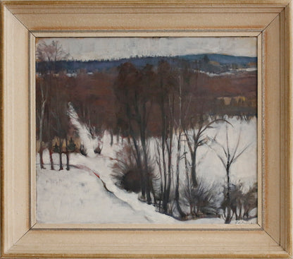 Winter Valley
