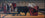 The Bull Fighter